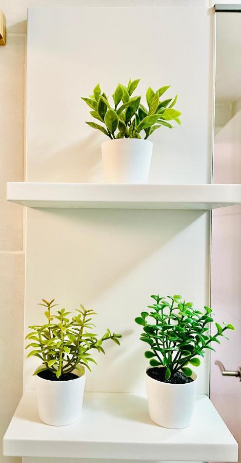 Luxury Minerva Apartamento *